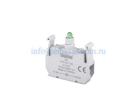 Блок подсветки с зеленым светодиодом 110V AC/DC, BG - EMAS 