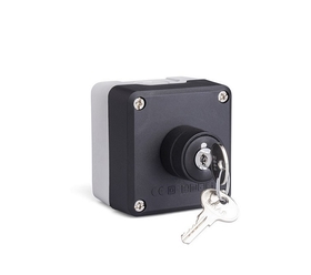 Пост 1-но кнопочный IP65, (1НО), P1165 - EMAS 