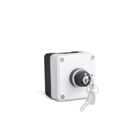 Пост 1-но кнопочный IP50, (1НО+1НЗ), P1C304AC20 - EMAS 