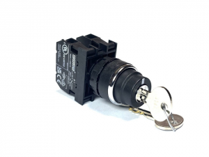 Кнопка с ключом 0-1, возврат из одного положения, ключ вынимается в положении 0 (2НЗ), B202AA21 - EMAS 