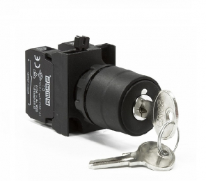 Кнопки с ключом - EMAS 